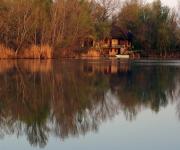 Haus kaufen Nickelsdorf klein fyi1pu4xengq