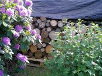 Haus kaufen Norden klein gum8sm2i4bon