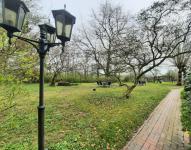 Haus kaufen Norden klein nwnf0eyf30sb