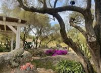 Haus kaufen Olbia klein 4ng20y6nsw5m