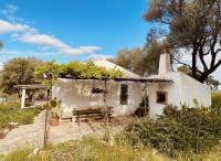 Haus kaufen Olbia klein cpn4wk2neij9