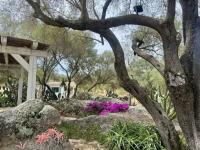 Haus kaufen Olbia klein g9kr3spzb6xe