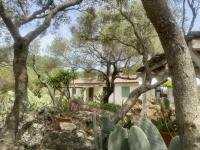 Haus kaufen Olbia klein n4a585wn426i