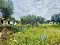 Haus kaufen Olbia klein xjuhe981q9ti