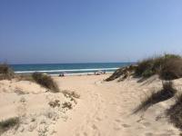 Haus kaufen Oliva klein smet9drjhxv3