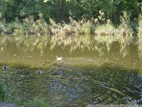 Haus kaufen Oranienburg klein xr3c92o9u4um