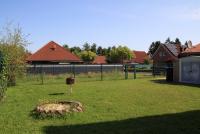 Haus kaufen Ostrhauderfehn klein et1f69254cky