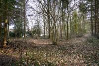 Haus kaufen Ostrhauderfehn klein jis7toxu64eq