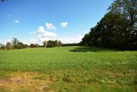 Haus kaufen Ostrhauderfehn klein nn3ws7g4puva