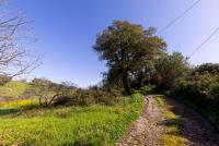 Haus kaufen Ozieri klein k1rzzka97o6d