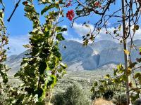 Haus kaufen Pachia Ammos klein un25mus86vxv