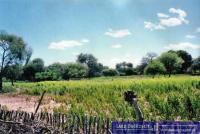 Haus kaufen Pedro P. Pena klein 9oa3so8w19i0