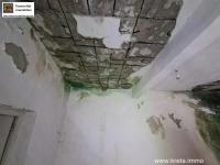 Haus kaufen Peritz klein rglt4iq33gbu