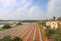 Haus kaufen Pernera klein ybu152z31vpi