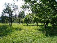 Haus kaufen Pforzheim-Hegenach klein jdpro4vmqhle