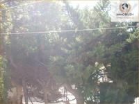 Haus kaufen Pilar de la Horadada klein hbj1dlo7zhyu