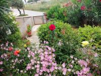 Haus kaufen Pirgos Psilonerou klein ehsutqw0m8n9