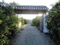 Haus kaufen Pizarra klein yskxkrfdnl3a