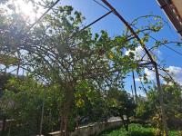 Haus kaufen Plaka bei Chania klein fo6zksn9gq5m