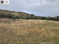 Haus kaufen Pombia klein 64mzb3vjzwcn