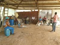 Haus kaufen Ponta da Tulha klein 2yn80hv842eg