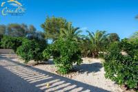 Haus kaufen Port Verd klein 3nbttud2n9iy