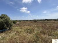 Haus kaufen Porto Cristo klein 2jjx0l9s142c