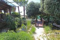 Haus kaufen Protaras klein jhd4m0la7aqq