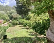 Haus kaufen Puigpunyent klein pxyq9dymz7ub