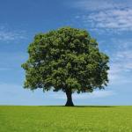 Haus kaufen Quickborn klein fbm88ru99yg5