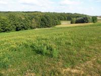 Haus kaufen Radenci klein 06dcgrjtldcn