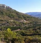 Haus kaufen Rafol d"almunia klein 31sdjw5zstc1