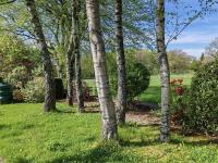 Haus kaufen Roetgen klein 8d2kyj32aooe