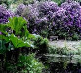 Haus kaufen Rosenthal-Bielatal klein moxotehy3wwf