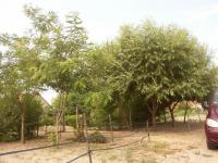 Haus kaufen Ruzsa klein c3qcmfg73867