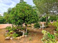 Haus kaufen Sa Rapita klein 7ptsfcg6w1no