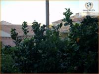 Haus kaufen San Pedro del Pinatar klein 34acbtxw6bjg