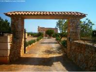 Haus kaufen Santanyi klein 493jsahjafvc