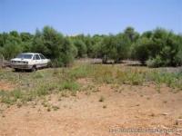 Haus kaufen Santanyi klein 5yu44mahrb91