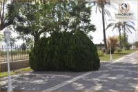 Haus kaufen Santomera klein m1282jdpb59a