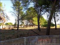 Haus kaufen Sava klein qbf8k3a05qrw