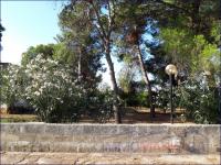 Haus kaufen Sava klein z1ltn4juemmw