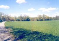 Haus kaufen Schechen klein s0zhncem34l1