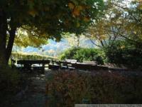 Haus kaufen Seebach klein hr1wla5680b3