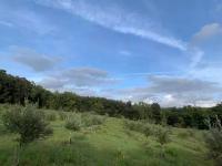 Haus kaufen Serrazzano klein caes8zp52tg8