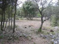 Haus kaufen Silba klein lhtfxrm3u53n