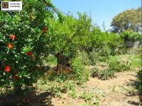 Haus kaufen Sitia klein q9epyvsl3r9w