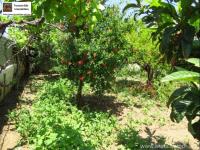 Haus kaufen Sitia klein zlh8n1sydymy