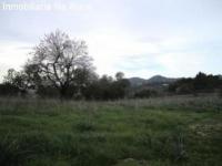 Haus kaufen Son Servera-Arta klein pgfk3mvijcue