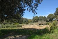 Haus kaufen Son Servera klein jp0qzboycuxk